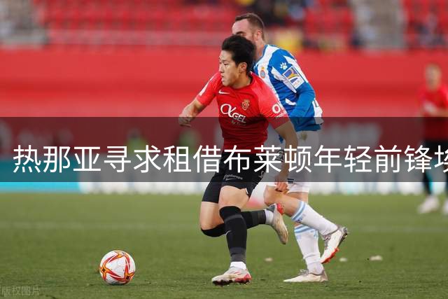 热那亚寻求租借布莱顿年轻前锋埃文·弗格森